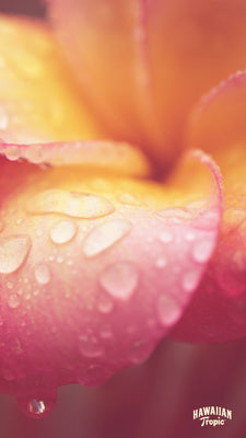 Download hydration mobile image