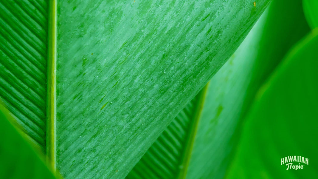 Download care desktop image