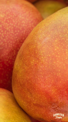 Download mango mobile image