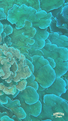 Download responsibility mobile image