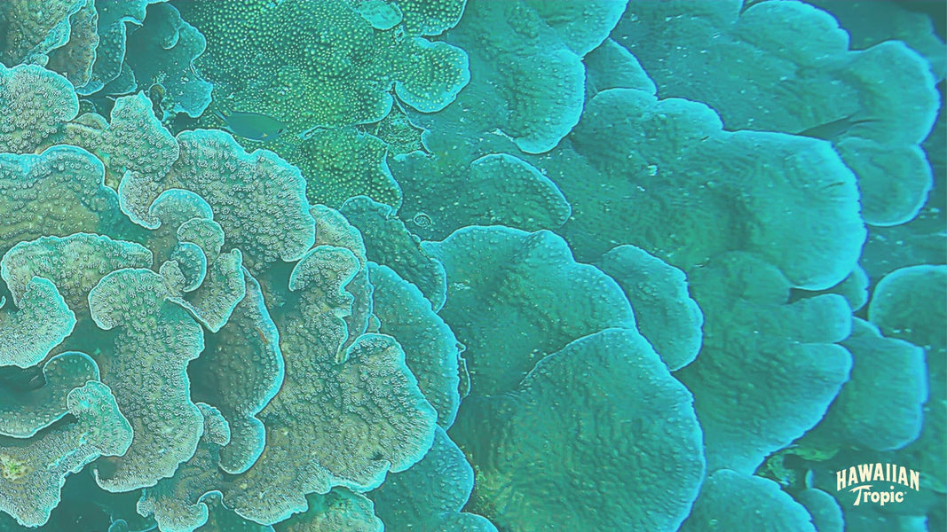 Download responsibility desktop image