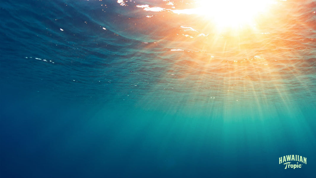 Download shine desktop image